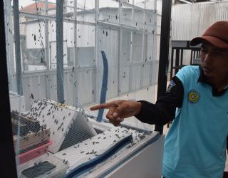 Inovboyo 2025: Ikhtiar Surabaya Menjadi Laboratorium Inovasi Lingkungan
