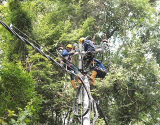 PLN Nyalakan Listrik Perdana di Kawasan Konservasi Meru Betiri Jember