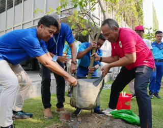 Peringatan HUT RI : Pelindo Petikemas Tanam Seribu Pohon Hijaukan Area Kerja