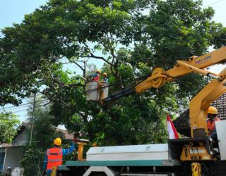 Sambut HUT ke-80 RI, PLN Jatim Gelar Pemeliharaan Tanpa Padam di Tiga Wilayah