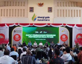SGN & Pemerintah Sepakati Harga Gula Petani Minimal Rp14.500/Kg