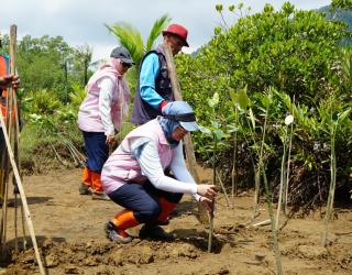 Sinergi PLN dan Masyarakat Trenggalek Tanam Mangrove Dukung NZE