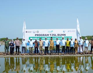 Pelindo Terminal Petikemas Dukung Program Prioritas Jateng, Tanam 50.000 Bibit Mangrove