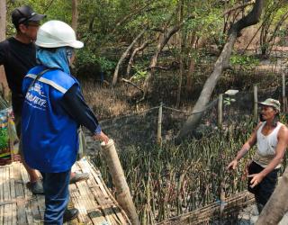 TPS Perkuat Prinsip ESG Lewat Rehabilitasi Mangrove di Pesisir Surabaya