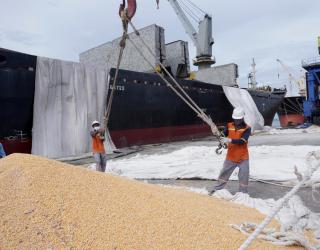 Pelindo Multi Terminal Fasilitasi Ekspor Perdana Jagung ke Vietnam