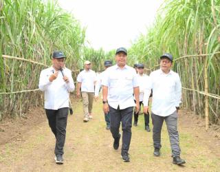 Danantara Cek Progres Proyek Nasional Sektor Industri Gula di Sei Semayang
