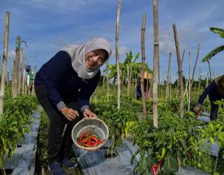 Harga Kebutuhan Pokok di Surabaya Dipastikan Aman hingga Nataru 2025