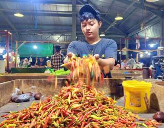 Jelang Natal, Harga Cabai Rawit di Jatim Melambung Hampir Rp100.000 Per Kg