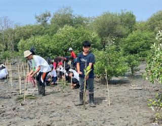 Pelajar SMPN 1 Surabaya Tanam Ribuan Mangrove Selamatkan Pesisir Kota