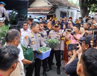 Polres Jombang Sita 110 Batang Ganja Disita dari Kebun Warga Jombang