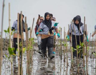 Nestlé Indonesia Tanam Ribuan Mangrove, Hijaukan Pesisir dan Tekan Emisi Karbon