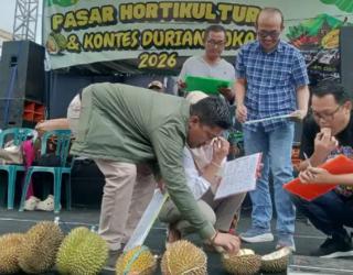 Bank UMKM Jatim Angkat Daya Saing Durian Lokal, Sediakan Kredit Petani Bunga Rendah