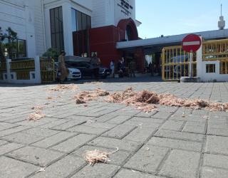Massa Aksi Ditolak, Taburkan Kotoran Ayam di Gedung DPRD Surabaya  ‎
