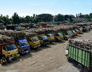 Kapasitas Giling Tebu PG Assembagoes Capai 5.500 TCD, Perkuat Kontribusi Swasembada Gula Nasional