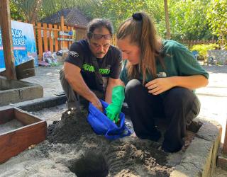 Jaga Habitat Tukik, PLN NP Lestarikan Kawasan Pesisir Selatan Jawa