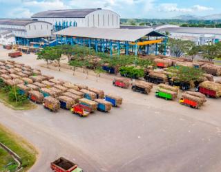 Produksi Gula SGN Naik 26% di Semester I 2026, Tebu Giling Tembus 3,13 Juta Ton 