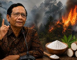 Kebakaran Karhutla Bisa Padam Lewat Tepung Singkong ? Mahfud MD : Aneh Tapi Perlu di Coba