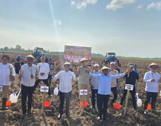 SGN Perluas Areal Tanam Tebu Hingga ke Indonesia Timur