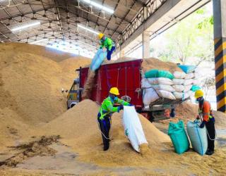 Optimalkan Bahan Bakar Alternatif, Penggunaan Sekam Padi di SIG Pabrik Tuban Capai 400 Ton Per Hari