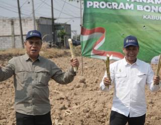 PG Rendeng - SGN Genjot Produktivitas Tebu Melalui Tanam Bongkar Ratoon