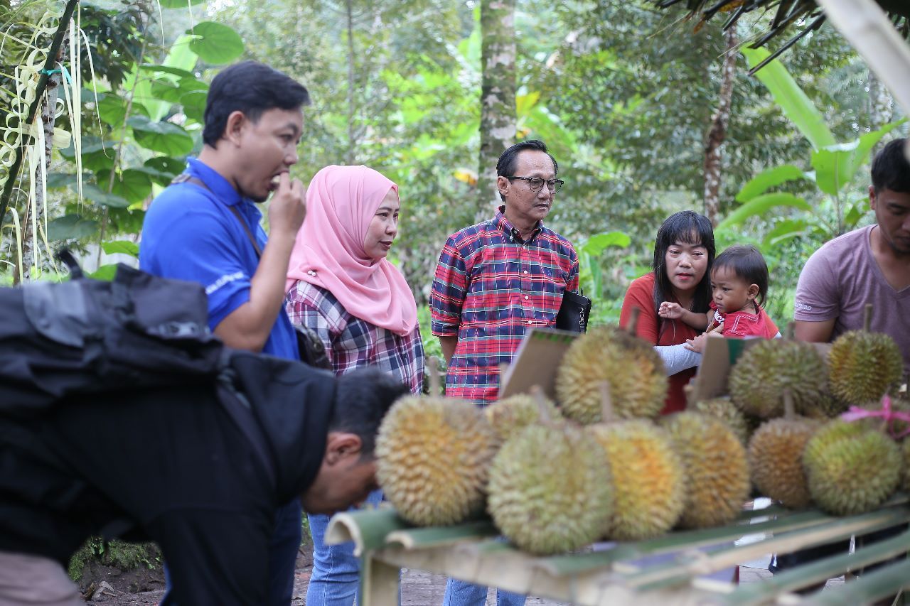 PLN Peduli bersama pemerintah Kabupaten Banyuwangi mendorong pembangunan sentra durian khas Songgon. (Foto: PLN for Jatimkini.com)
