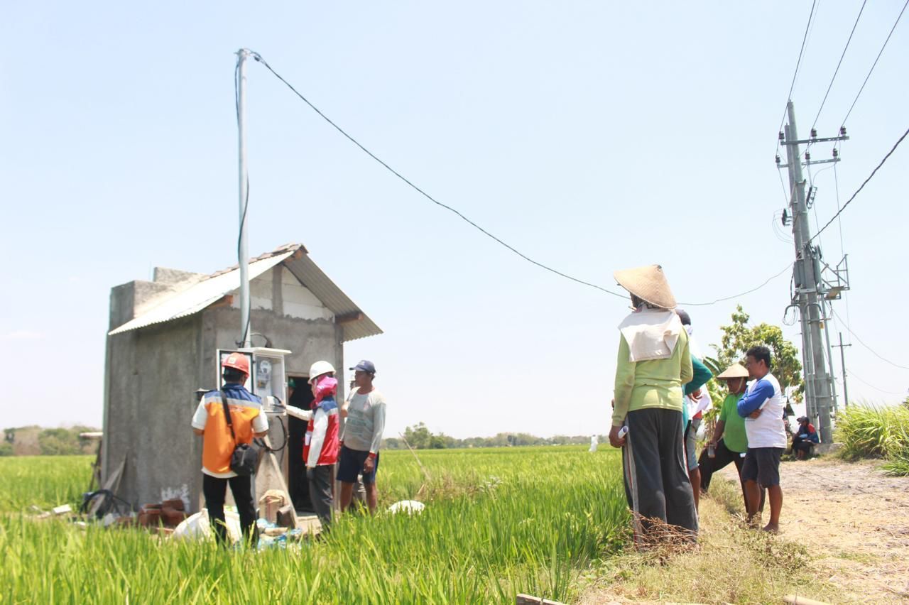 Penyalaan pasang baru listrik sumur pompa sawah di Madiun. Melalui penyalaan ini, petani yang sebelumnya menggunakan diesel untuk irigasi areal persawahan beralih ke listrik PLN. (Foto: PLN for Jatimkini.com)