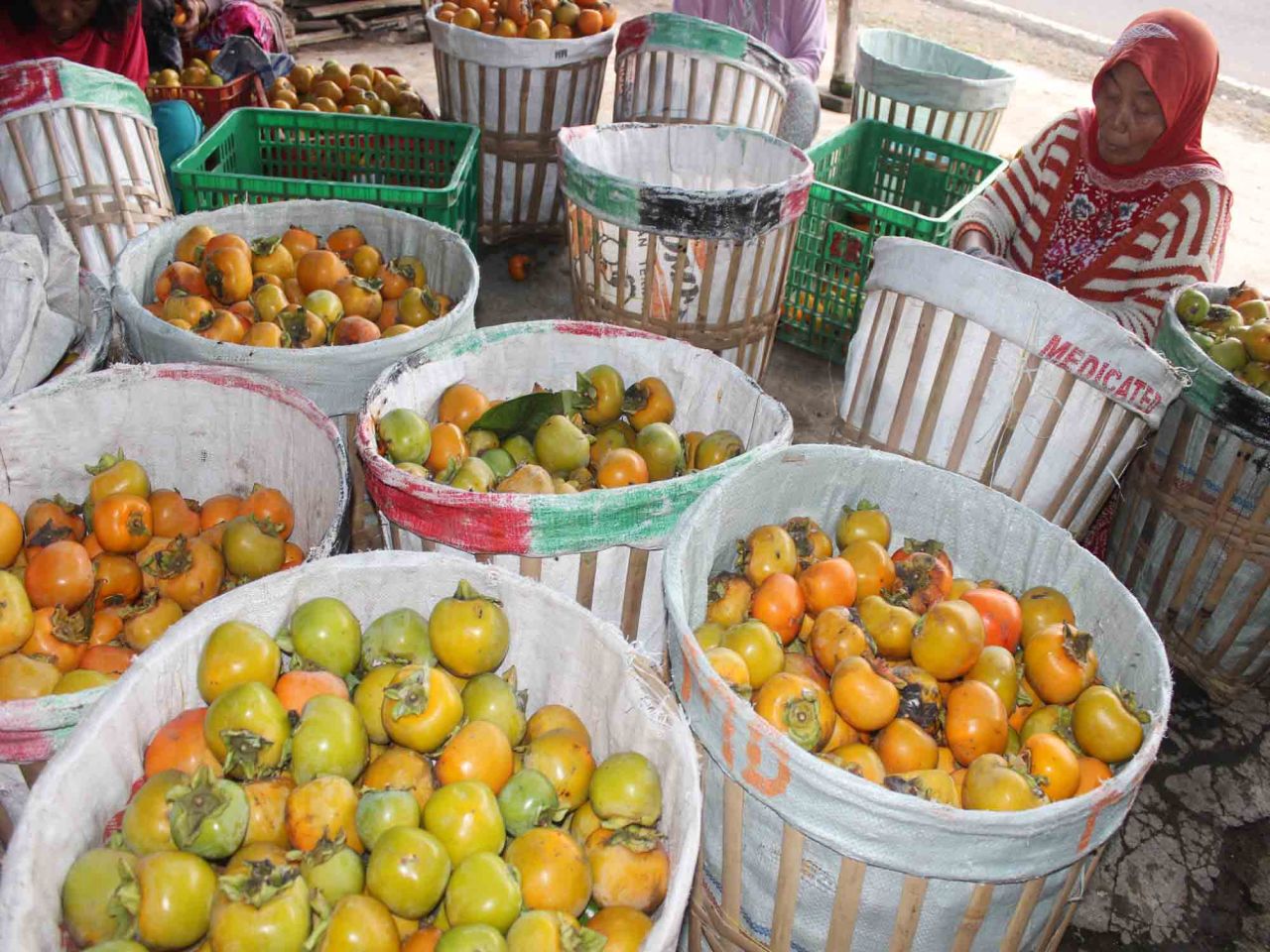 Seorang petani di Dusun Junggo, Desa/Kecamatan Bumiaji, Kota Batu, Jawa Timur, sedang menyortir buah kesemek usai panen, Jumat (30/6). Buah yang berkhasiat untuk kesehatan itu dijual Rp5 ribu-Rp25 ribu per kg. Foto : Jatimkini/Bagus Suryo