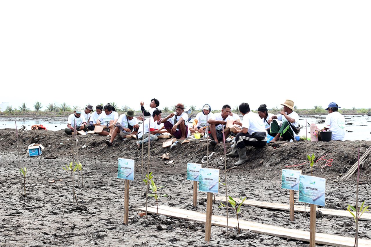 Warga Meruyan, Kalimantan Tengah dilibatkan dalam penanaman mangrove untuk melindungi biota laut. (Foto: dok.SPTP)