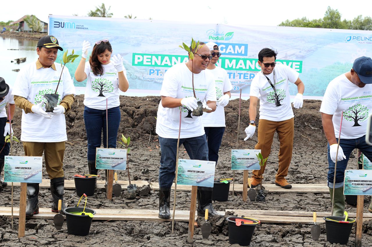 Direktur SDM SPTP, Edi Priyanto (depan-tengah) memimpin penanaman 8.000 unit mangrove dalam Hari Menanam Nasional di Seruyan, Kalimantan Tengah. (Foto: dok.SPTP)