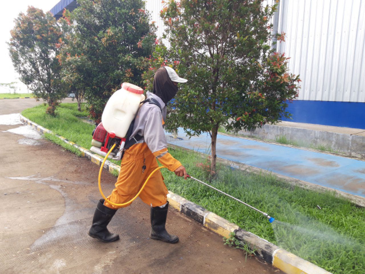 Petugas Dinas Lingkungan Hidup Kota Malang mengendalikan populasi lalat saat musim hujan di kawasan TPA Supiturang, Jumat (1/12). Warga Mengapresiasi upaya DLH tersebut.