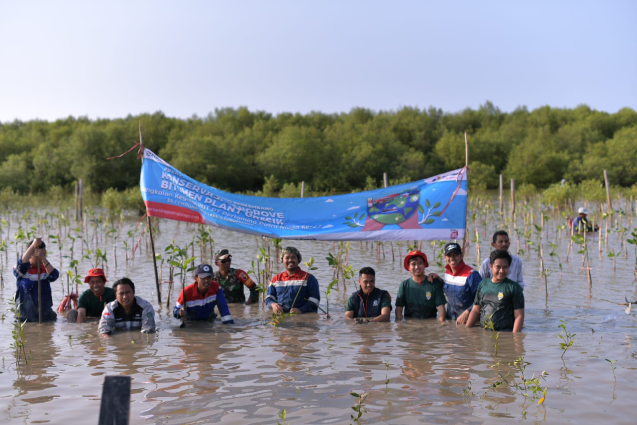Kegiatan penanaman bibit pohon mangrove di Gresik oleh Pertamina Patra Niaga Jatimbalinus. Foto : Pertamina for Jatimkini