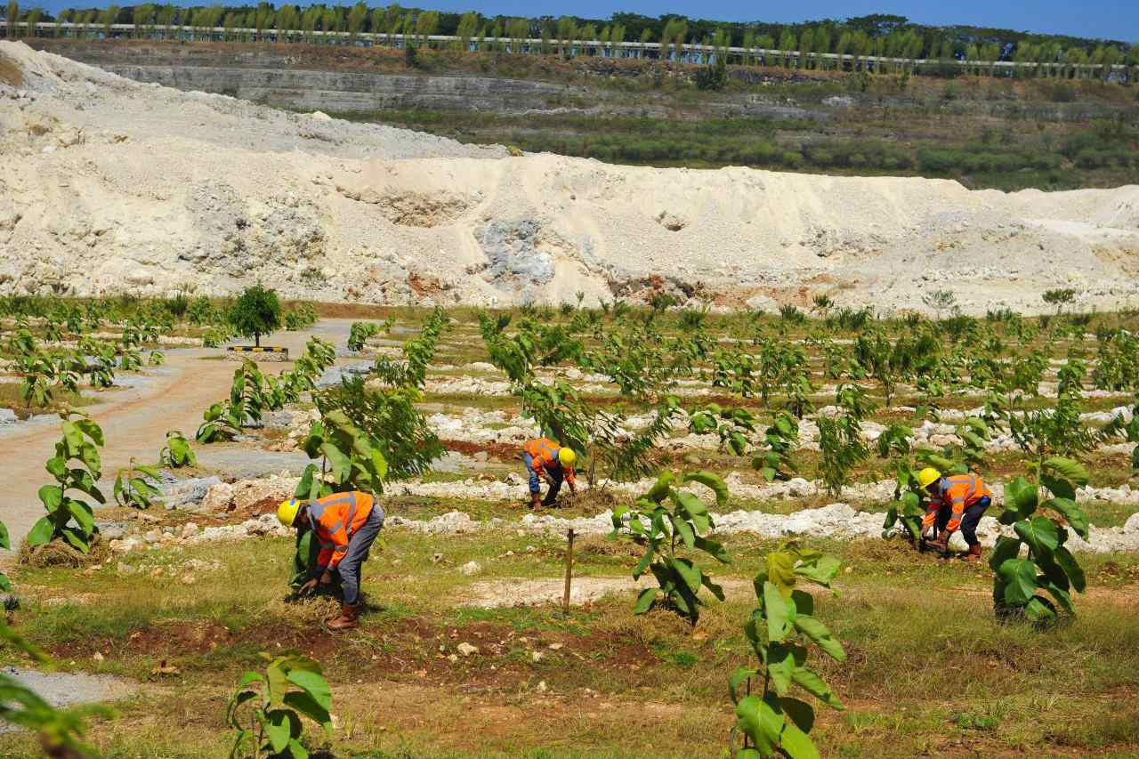 Proses penanaman pohon di lahan pascatambang semen milik SIG di Tuban Jatim. Foto : SIG