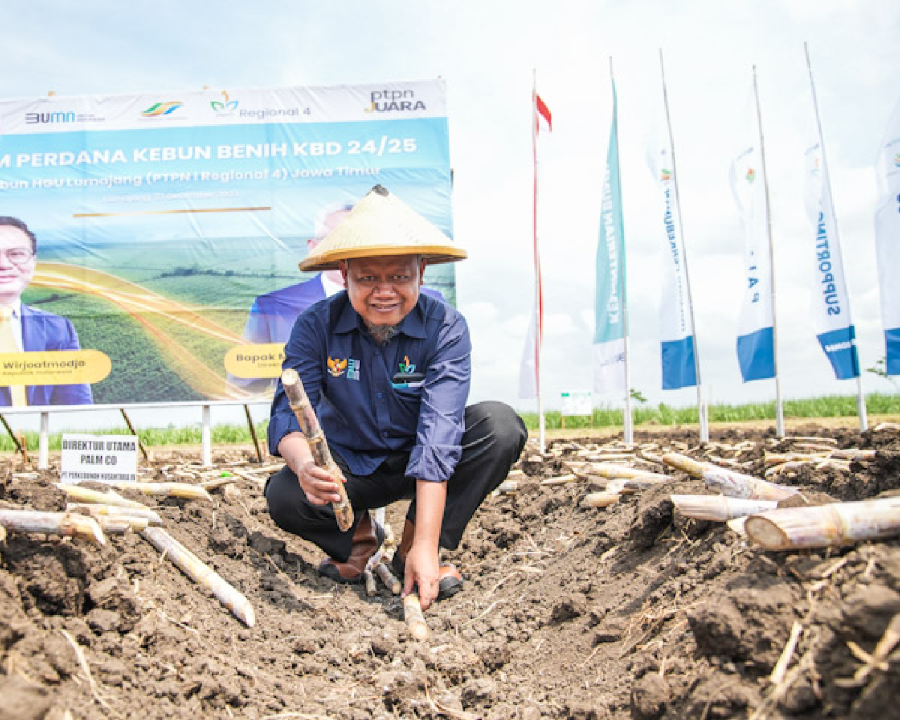 Kegiatan menanam tebu di ladang PTPN I Regional 4. Foto : PTPN