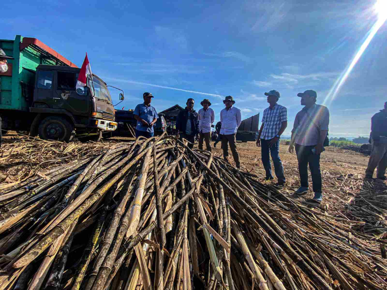 Tebu masak siap giling yang akan dikirim ke pabrik gula yang dikelola SGN. Foto : SGN