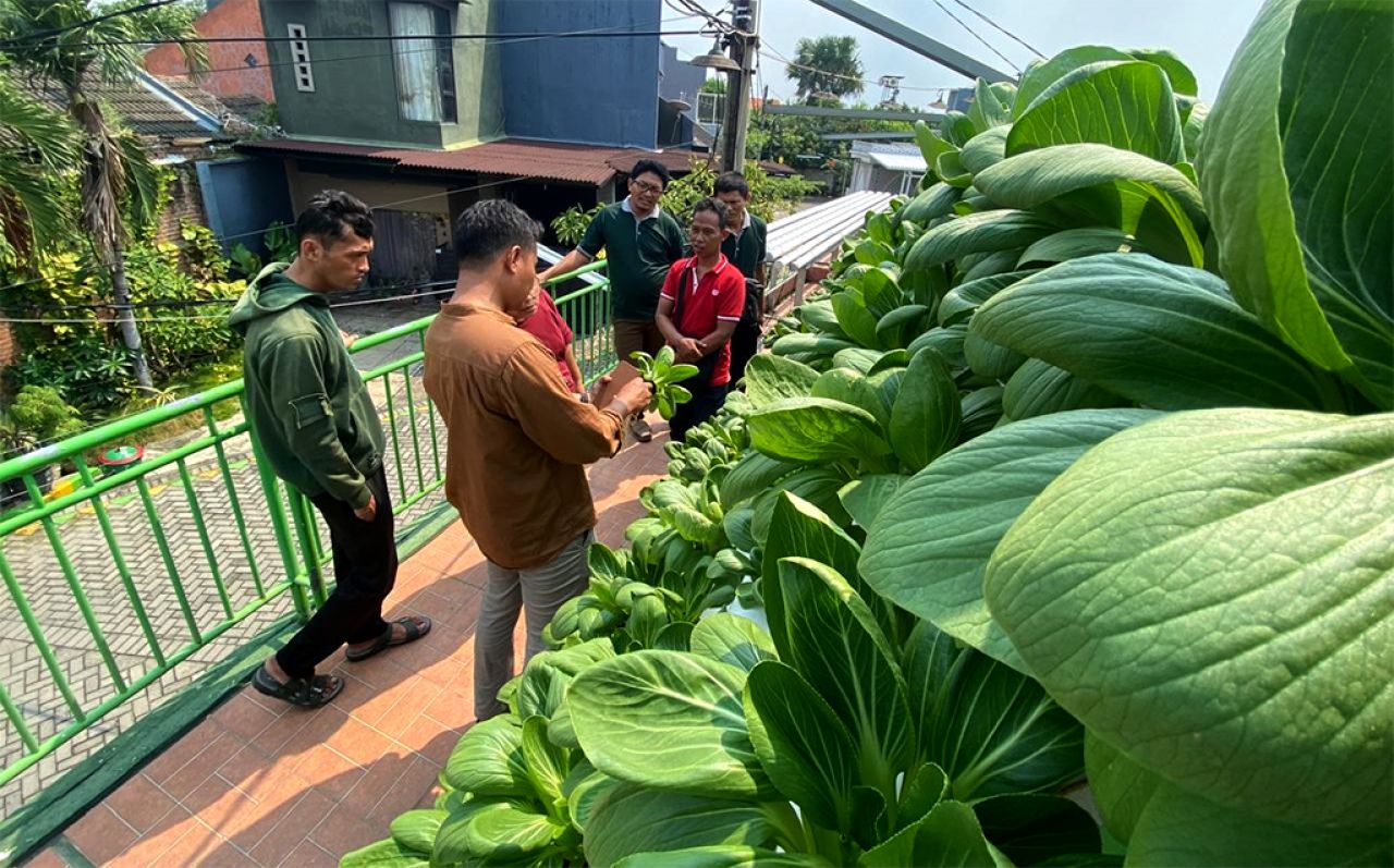 Warga Kauman Berseri dari Benowo melihat dari dekat konsep tanaman hidroponik saat mengunjungi Kampung Edukasi Sampah, Minggu (5/5/2024). (foto-foto: Kampung Edukasi Sampah for jatimkini.com)