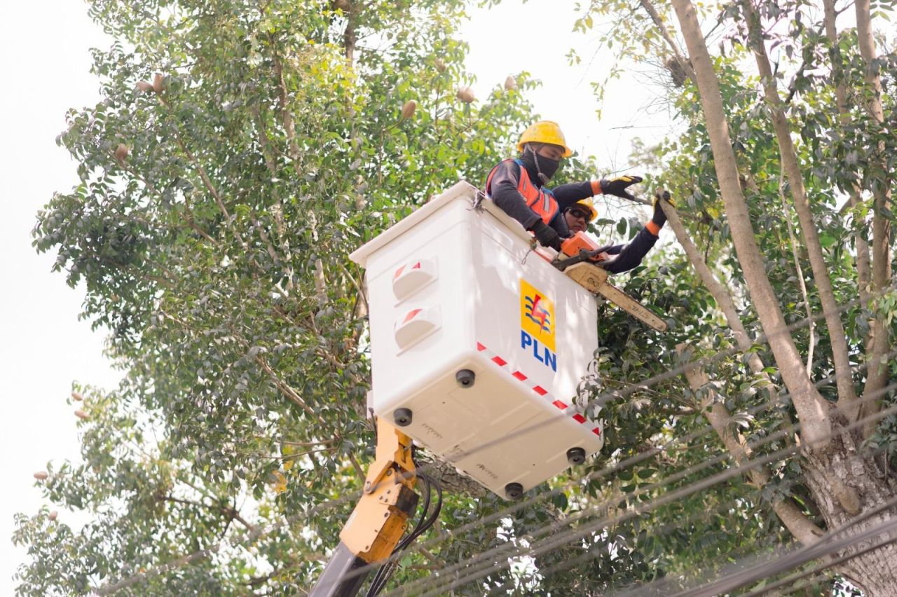 Personel PLN perbaiki jaringan listrik. (Foto: PLN for Jatimkini.com)