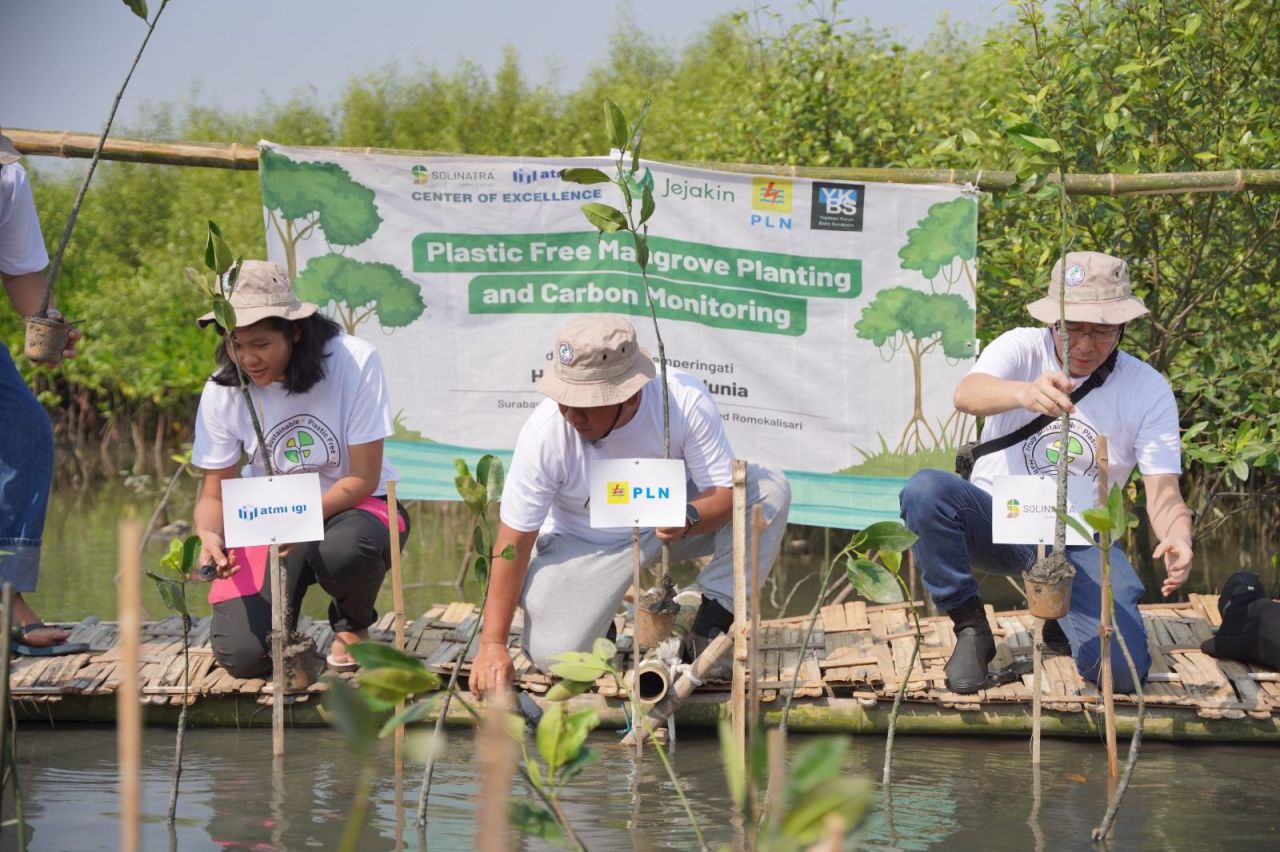 Penanaman 1.000 Mangrove bebas plastik di Adventure Land Romokalisari Surabaya, Jumat (26/7). (Foto: PLN for Jatimkini)