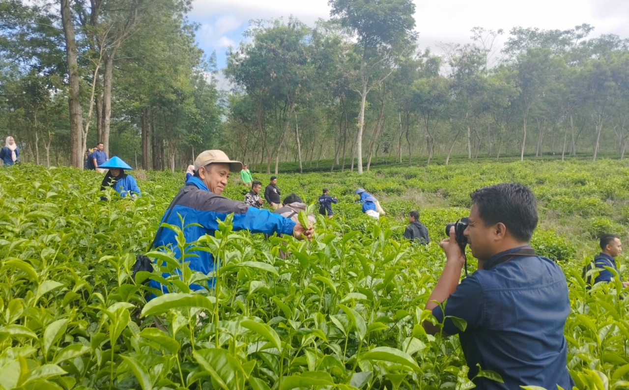 Aktivitas pelatihan fotografi bagi SDM PTPN I Regional 4. Foto : PTPN
