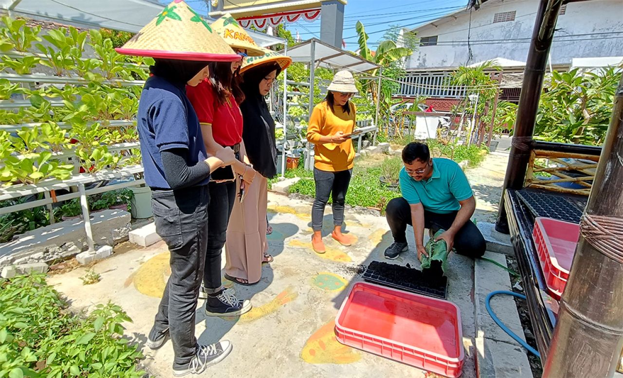 Urban farming dengan metode hidroponik bisa meningkatkan ketahanan pangan di Surabaya. (Foto: Alfamart for Jatimkini.com)