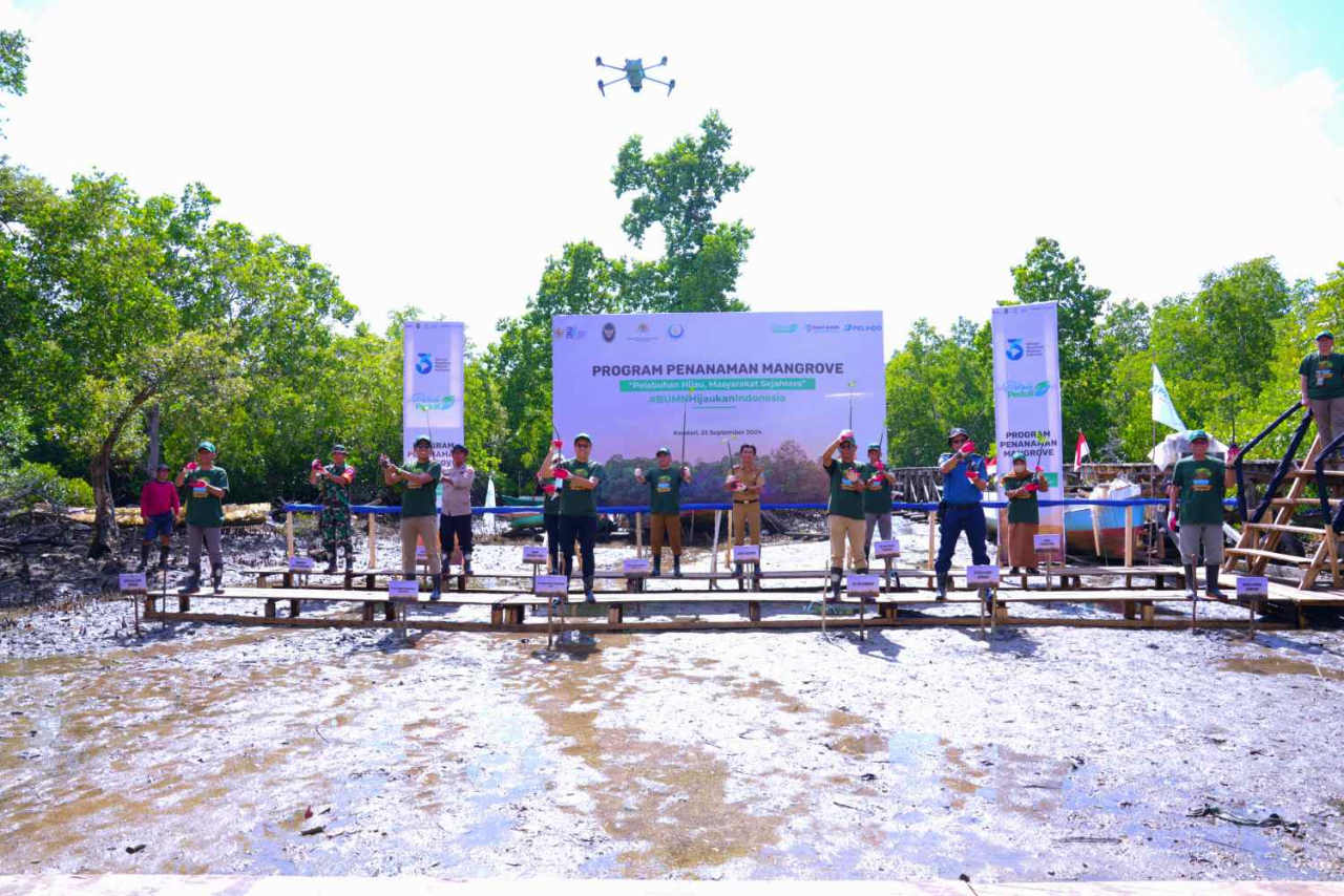 Kegiatan rehabilitasi kawasan mangrove di Konawe Selatan, Kendari. Foto : SPTP