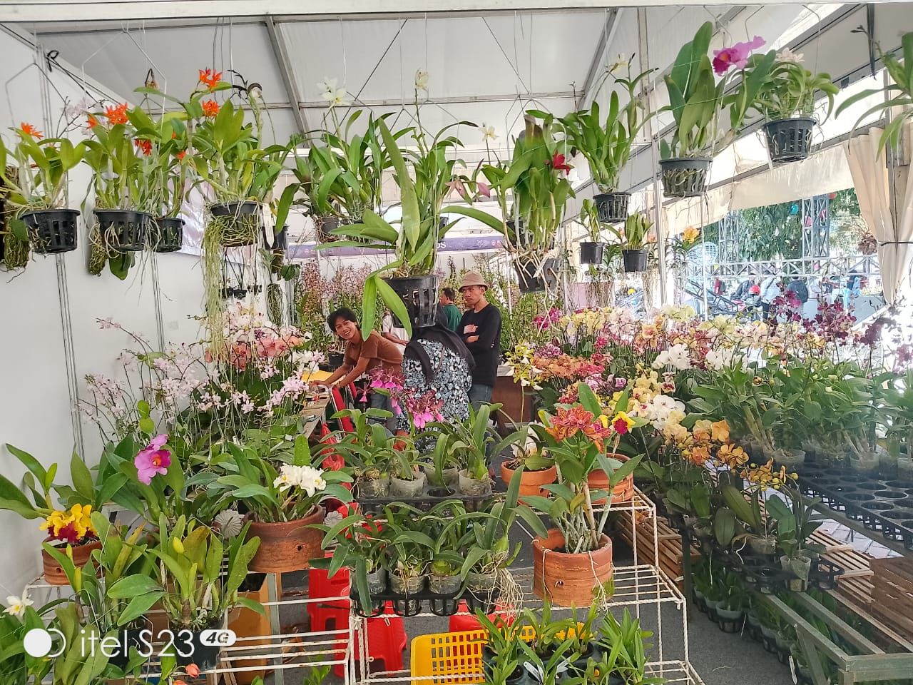 Pameran anggrek di Balai Kota Among Tani, Kota Batu dalam tempo sepekan mencatat transaksi sebesar Rp 3 milyar. (Foto : Jatimkini.com/Rokimdakas)