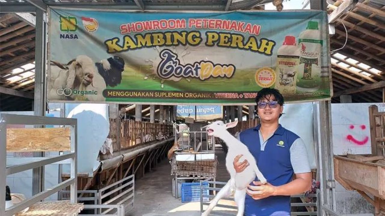 Muhammad Farid Akrom, alumnus Fakultas Teknologi Pertanian Universitas Gadjah Mada (UGM) angkatan 2016,  sukses bisnis ternak kambing (Foto: Jatimkini.com/Ilham)
