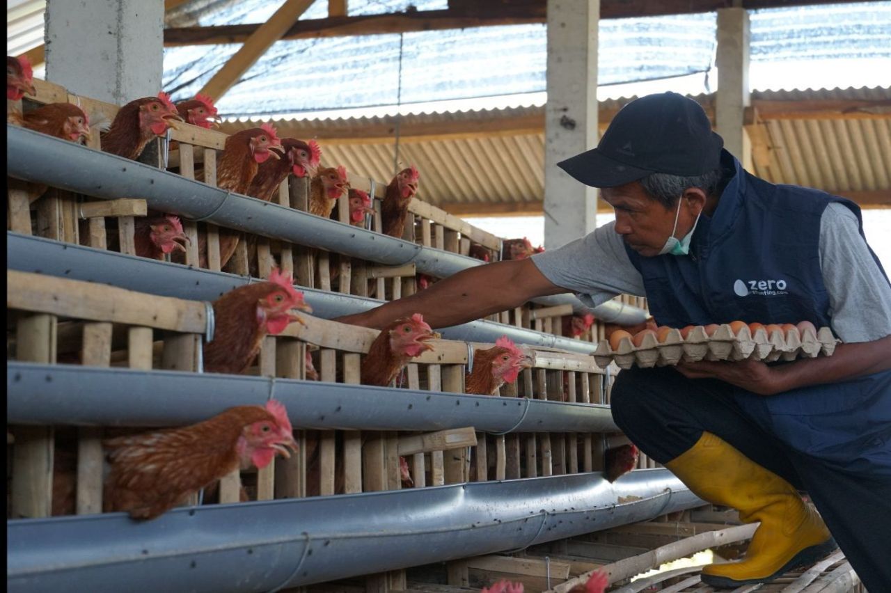program Tanggung Jawab Sosial dan Lingkungan (TJSL) Zero Stunting Eggcellent yang diluncurkan di Desa Karangkates, Kecamatan Sumberpucung, Kabupaten Malang, Jawa Timur. (Foto: PLN for Jatimkini)