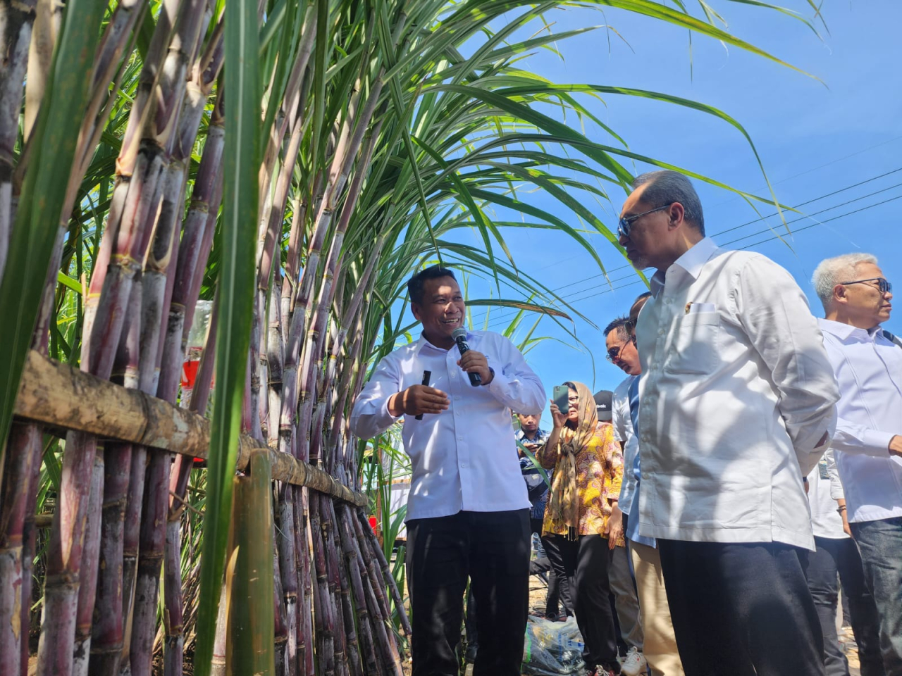 Dirut SGN Mahmudi (kiri) menjelaskan produktivitas tanaman tebu kepada Menteri Koordinator Bidang Pangan Zulkifli Hasan (kanan) dalam acara Kick Off Program Manis di Lumajang, Rabu (20/11/2024). Foto : Peni Widarti