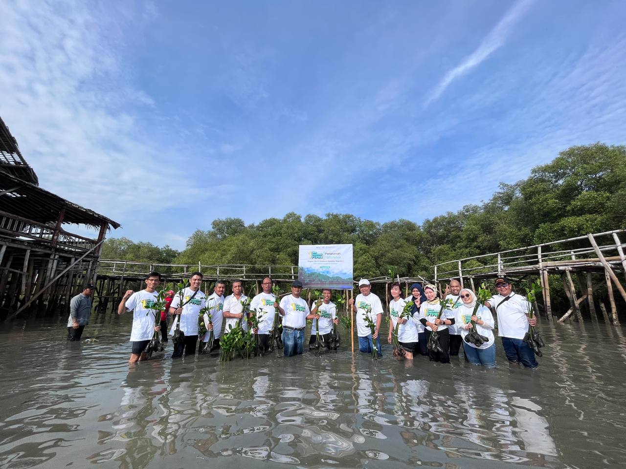 Kegiatan penanaman mangrove PTPN I Regional 4. Foto : PTPN