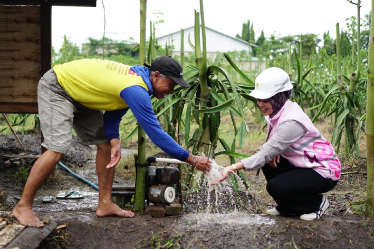 Di Banyuwangi, program pompanisasi juga diimplementasikan oleh Kelompok Tani (Poktan) Tani Usaha di Desa Wringinpitu, Kecamatan Tegaldlimo. (Foto: PLN for Jatimkini)