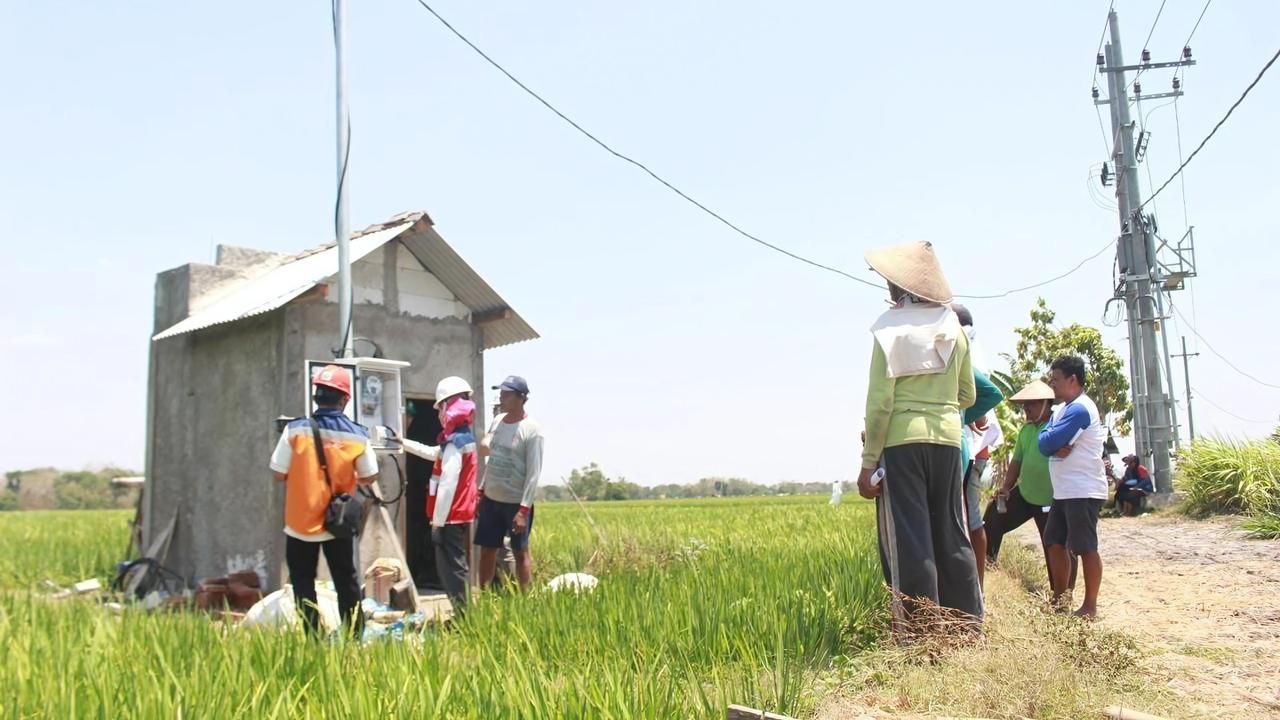 Program EA PLN dirasakan langsung oleh Kelompok Tani Mekar Sari Desa Sukorejo, Ponorogo, Jawa Timur. (Foto: PLN for Jatimkini)