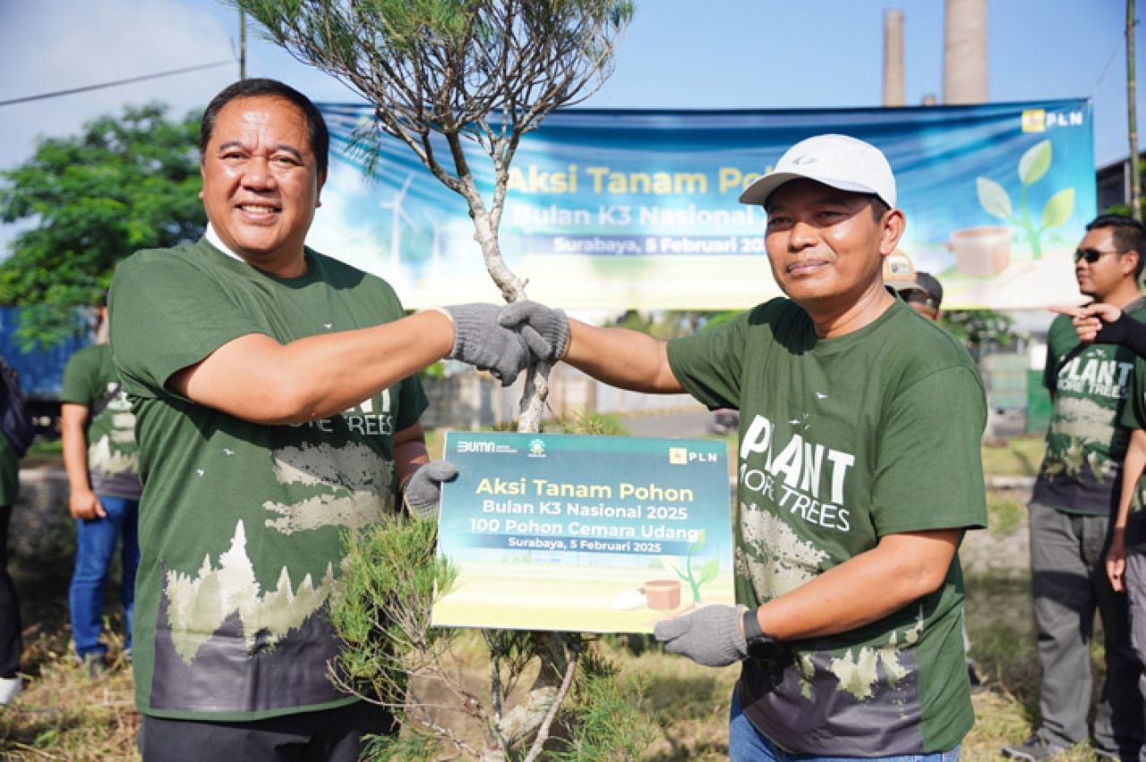 PLN bekerja sama dengan Dinas Lingkungan Hidup (DLH) Kota Surabaya menanam di kawasan Margomulyo, Tandes, Surabaya pada Rabu (5/2).