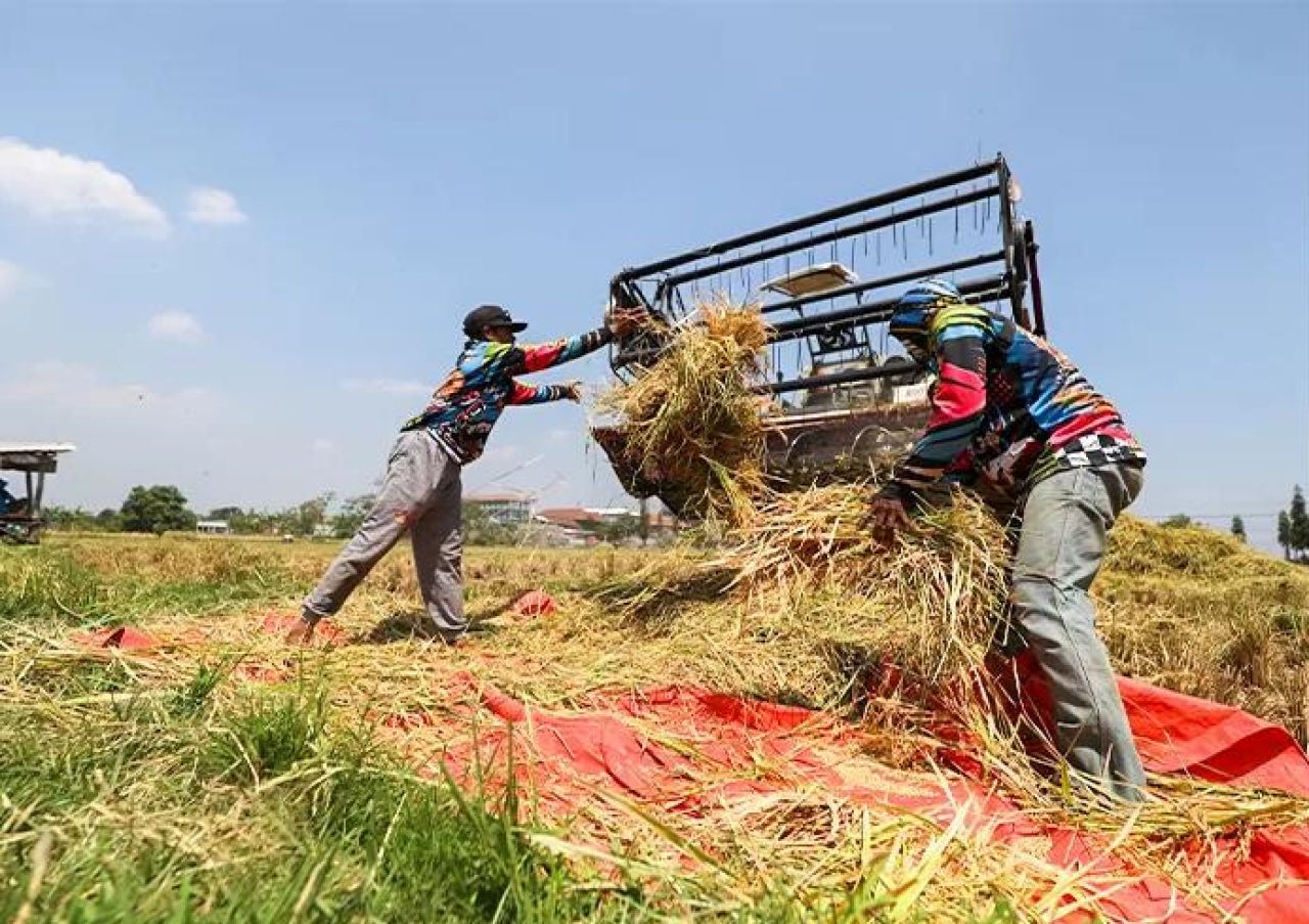 PT PLN (Persero) menunjukkan komitmennya dalam mendukung ketahanan pangan nasional melalui program elektrifikasi pertanian.