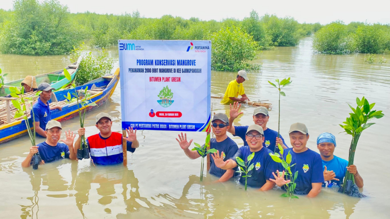 Penanaman mangrove yang dilakukan Pertamina Patra Niaga Jatimbalinus dalam program CSR.  Foto : Pertamina
